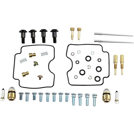 Carburetor Repair Kit