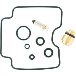 Carburetor Repair Kit