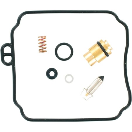 Carburetor Repair Kit