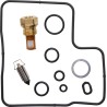 Carburetor Repair Kit