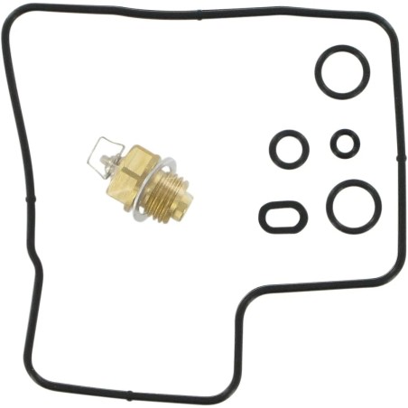 Carburetor Repair Kit