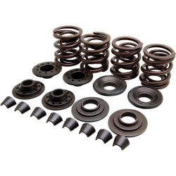 OEM Replacement Valve Spring Kit