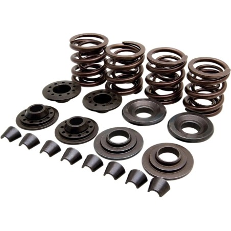 OEM Replacement Valve Spring Kit