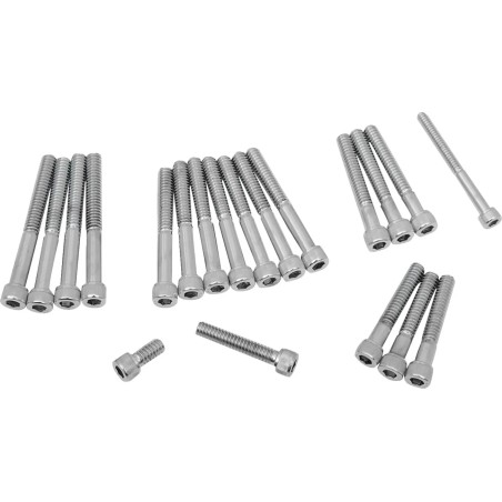 Cam Primary Cover Bolt Set