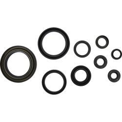 Oil Seal Kit