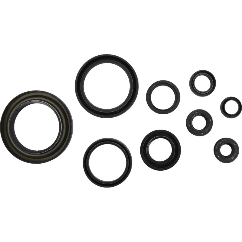 Oil Seal Kit