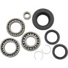 Bearing Seal Kit