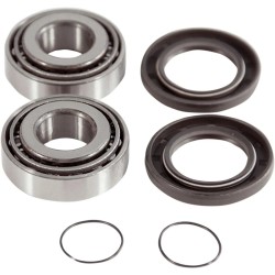 Swingarm Repair Kit