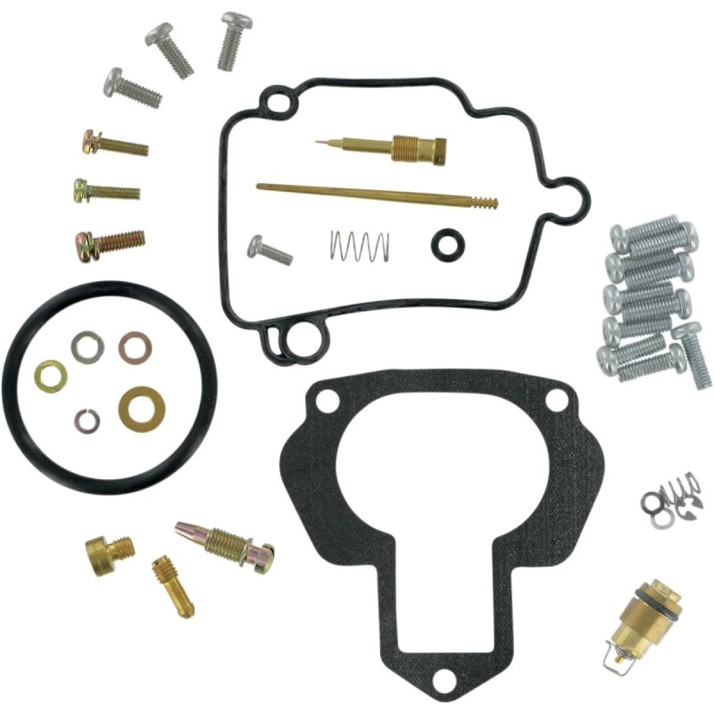 Carburetor Repair Kit