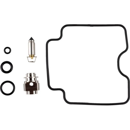 Carburetor Repair Kit