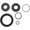 Differential Seal Kit