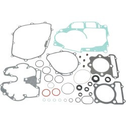 Complete Gasket and Oil Seal Kit