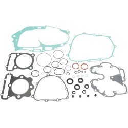 Complete Gasket and Oil Seal Kit