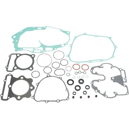 Complete Gasket and Oil Seal Kit