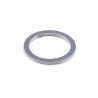 Exhaust Gasket