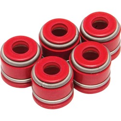 Valve Stem Seals