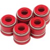 Valve Stem Seals