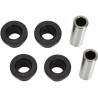 A-Arm Bearing and Seal Kit