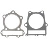 Top End Gasket Kit