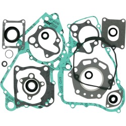 Complete Gasket and Oil Seal Kit