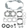 Complete Gasket and Oil Seal Kit