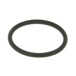 Exhaust Gasket