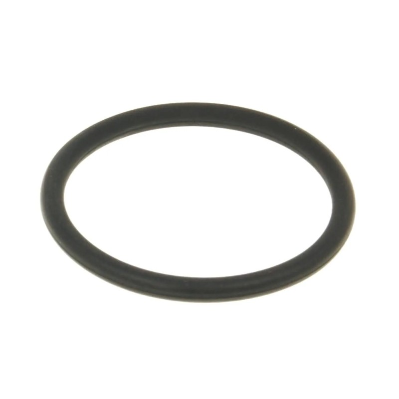 Exhaust Gasket
