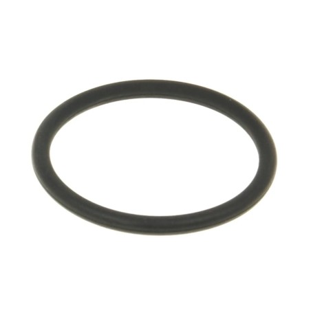 Exhaust Gasket