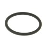 Exhaust Gasket