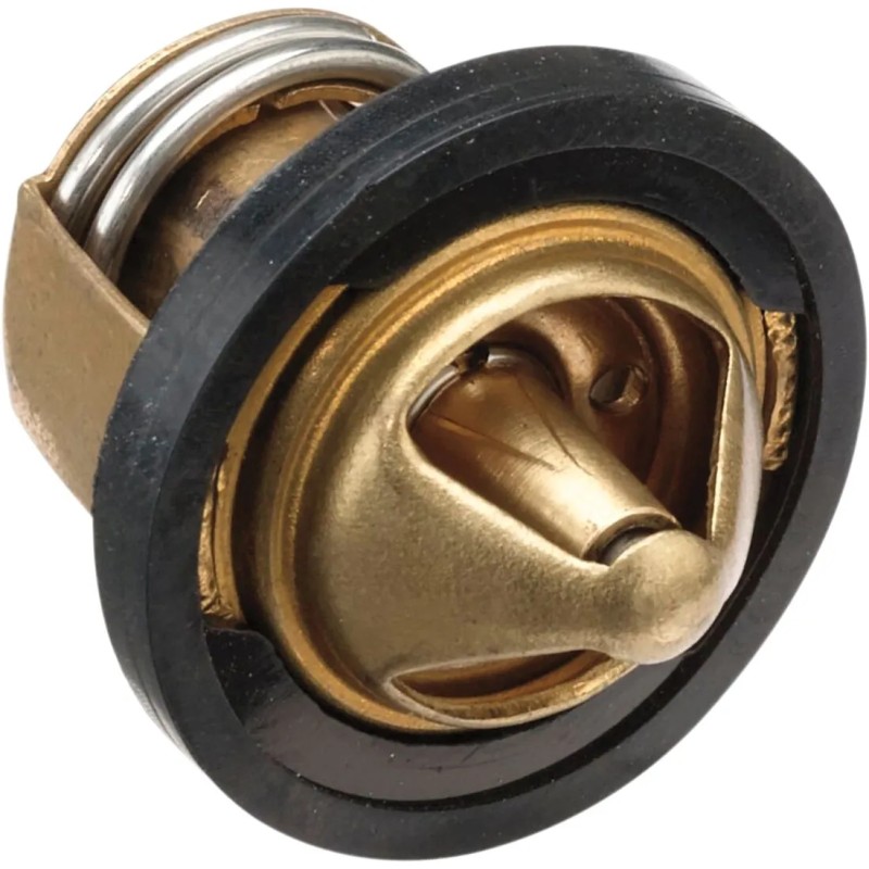 Thermostat de rechange - Polaris