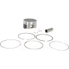 Piston Kit