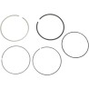 Piston Ring Set