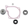 Water Pump Repair Kit