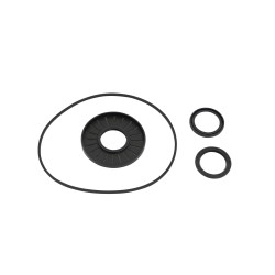 Differential Seal Kit