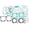 Complete Gasket and Oil Seal Kit