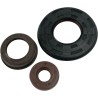 Motor Oil Seals