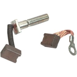 Jeu de balais de démarreur de rechange