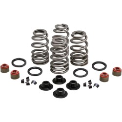 Beehive Valve  Spring Kit