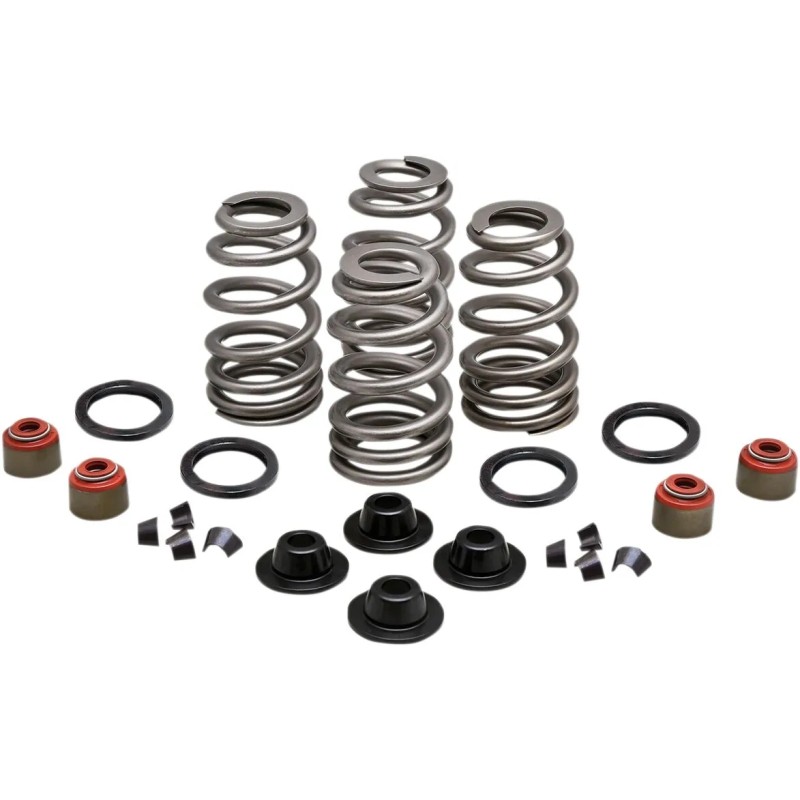Beehive Valve  Spring Kit