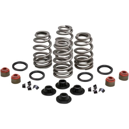 Beehive Valve  Spring Kit