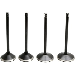 Black Diamond  Engine Valve Kit