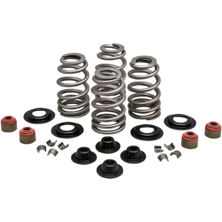 Beehive Valve  Spring Kit
