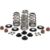 Beehive Valve  Spring Kit