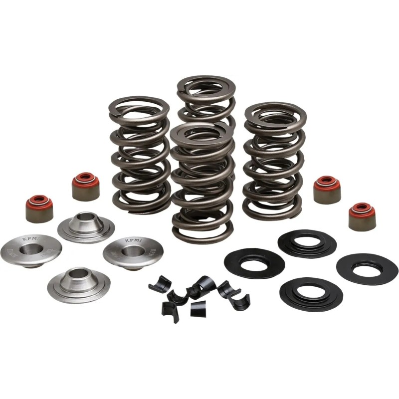 Racing Valve Spring Kit