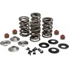 Racing Valve Spring Kit
