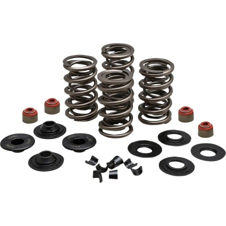Racing Valve Spring Kit